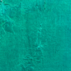 Green Swamp - Veils of Serenity - Image 6