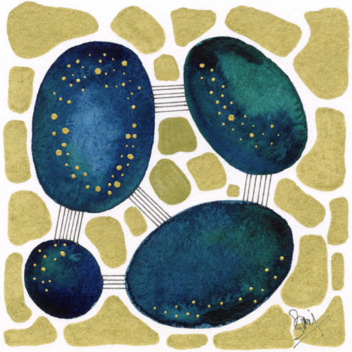 Rhythms of Color and Form - Roots of Light